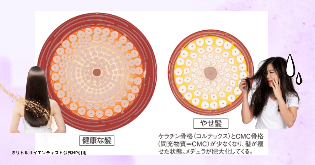 痩せた髪と健康な髪