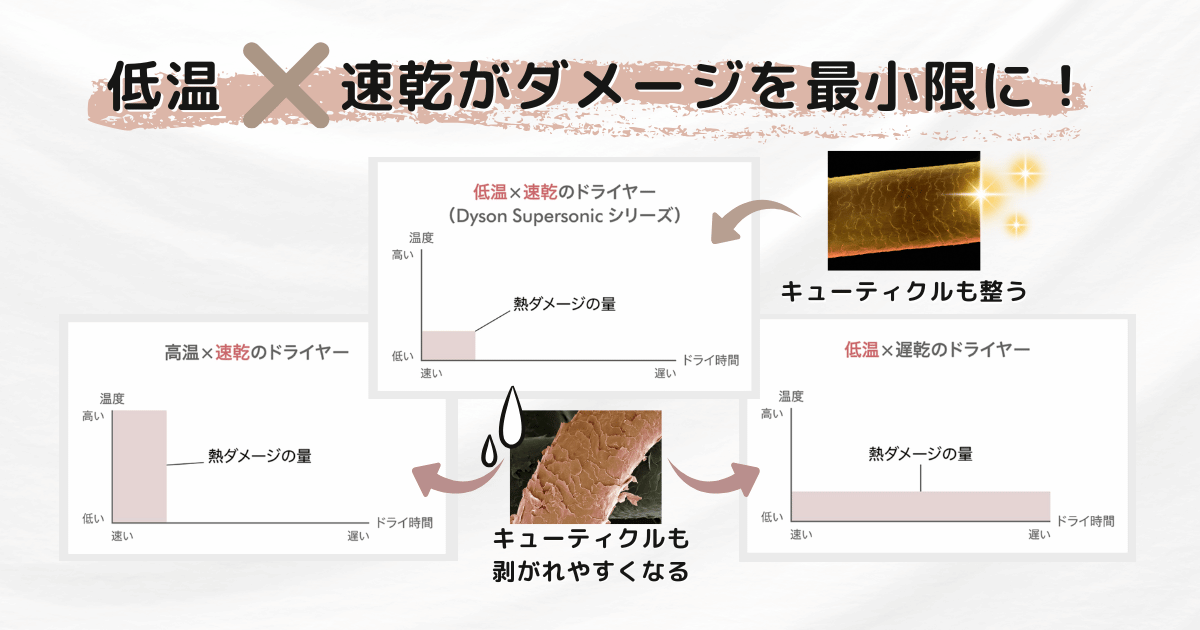 キューティクルのダメージに関して